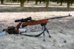 mosin_1