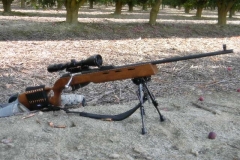 mosin_11